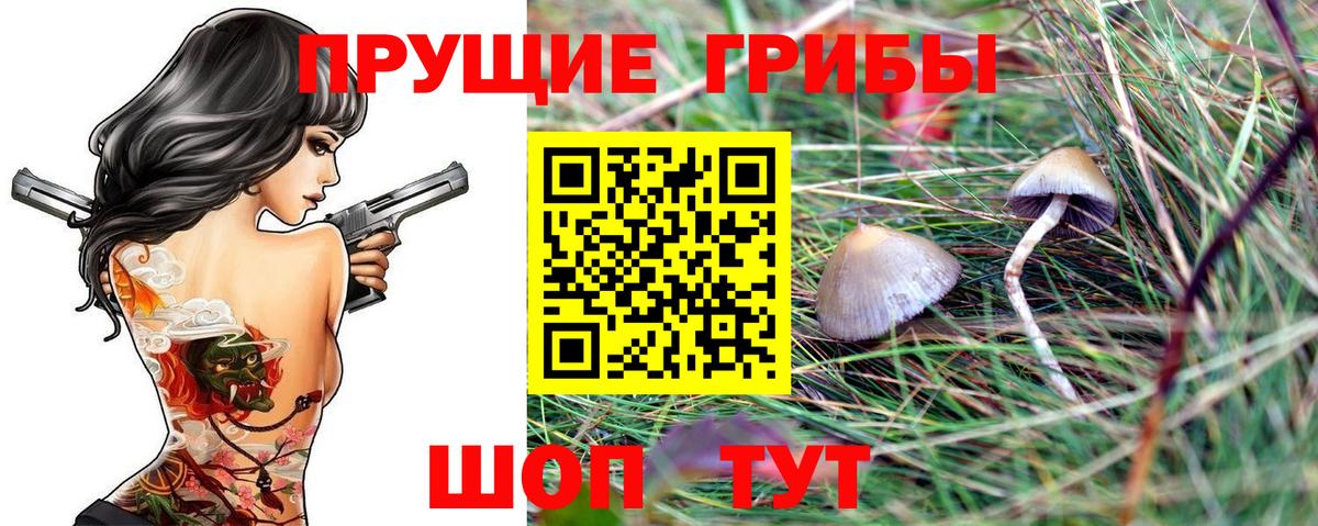 Псилоцибиновые грибы прущие грибы Комсомольск-на-Амуре